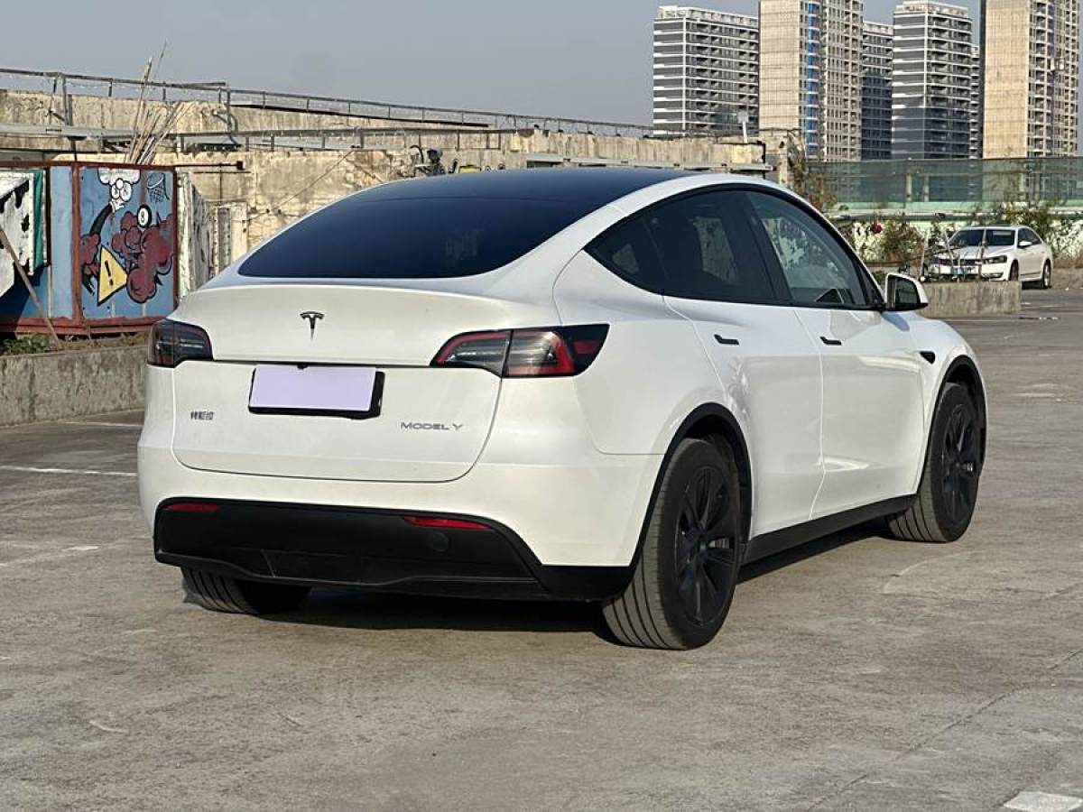 特斯拉 Model 3  2023款 煥新版 后輪驅(qū)動(dòng)圖片