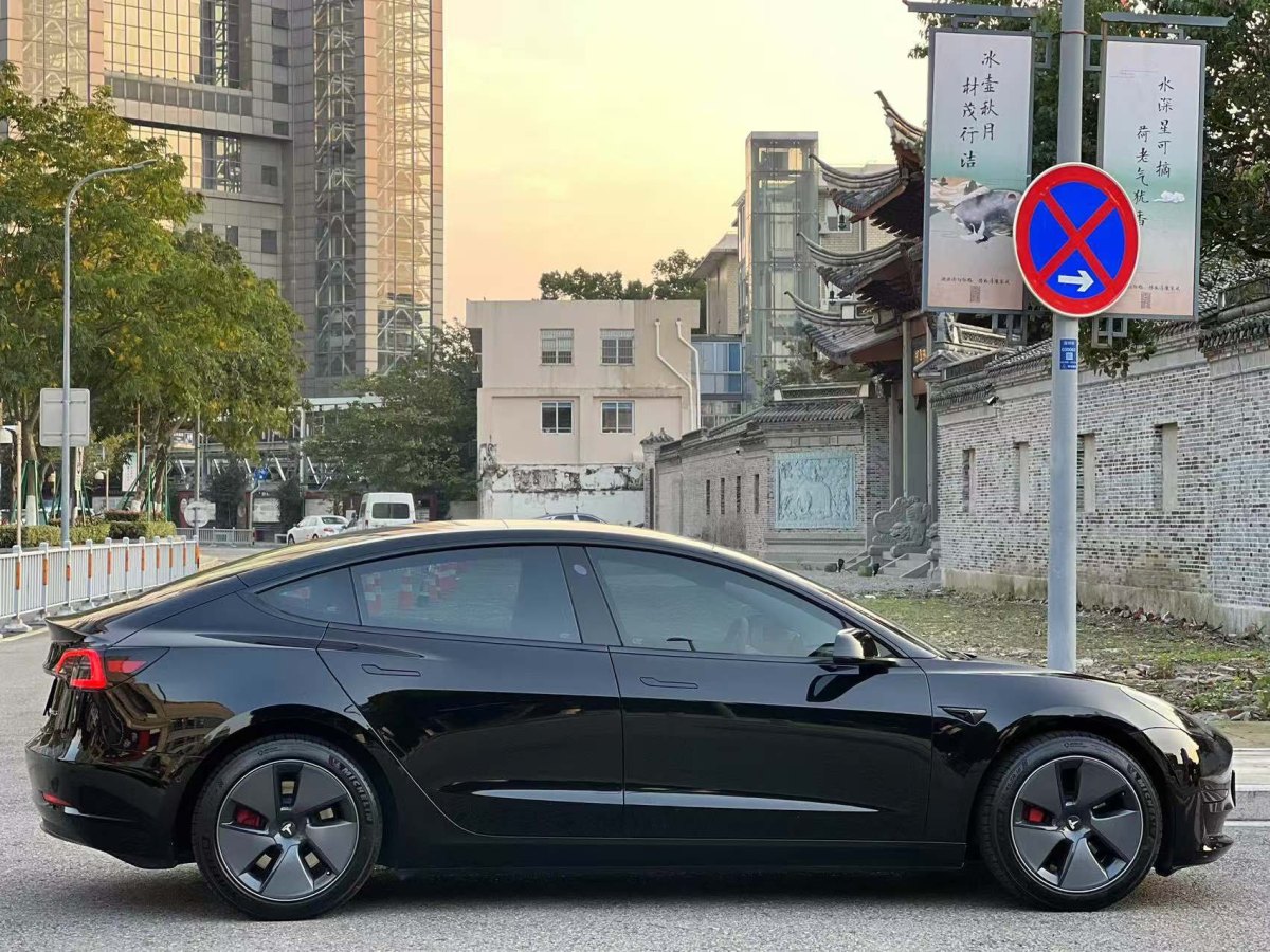 特斯拉 Model 3  2021款 標(biāo)準(zhǔn)續(xù)航后驅(qū)升級(jí)版 3D6圖片