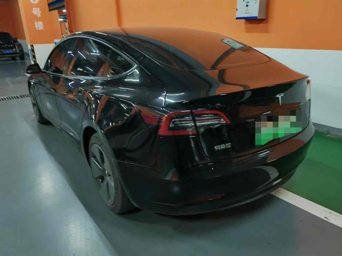 特斯拉 Model 3  2019款 標(biāo)準(zhǔn)續(xù)航后驅(qū)升級版圖片