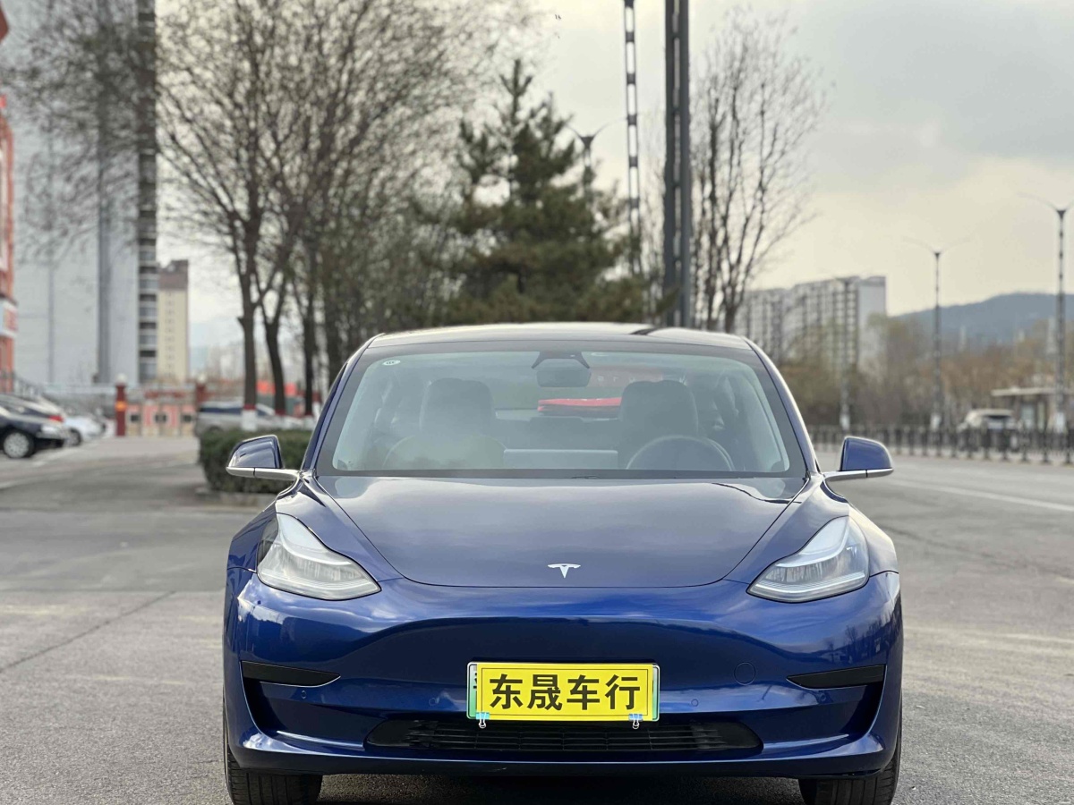 特斯拉 Model 3  2019款 標(biāo)準(zhǔn)續(xù)航后驅(qū)升級版圖片