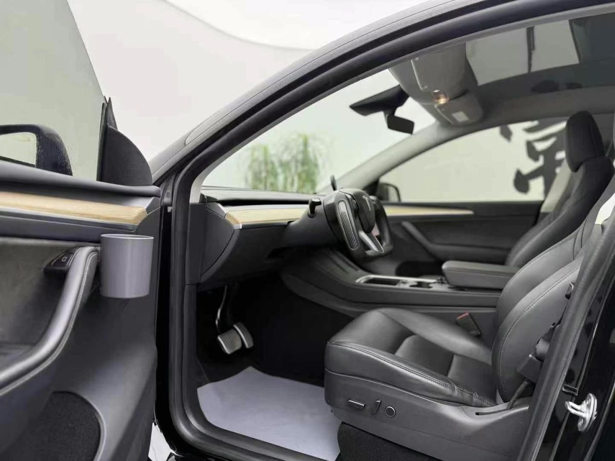 特斯拉 Model Y  2022款 Performance高性能全輪驅(qū)動(dòng)版圖片