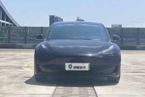 Model 3 特斯拉 標準續(xù)航后驅(qū)升級版 3D6