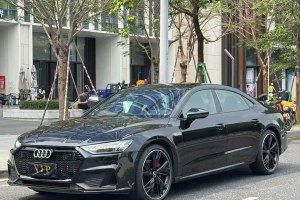 奧迪A7L 奧迪 45 TFSI quattro S-line 黑武士版