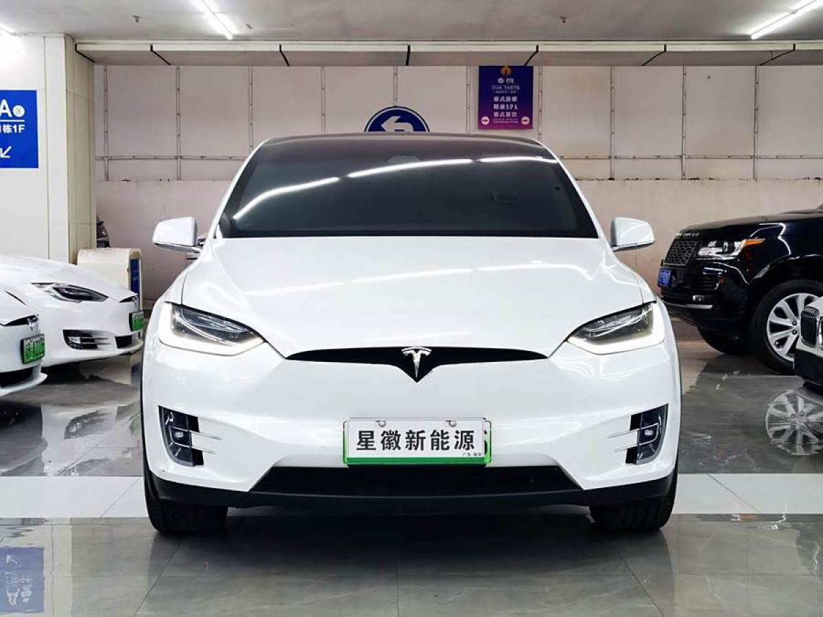 特斯拉 Model X  2020款 長(zhǎng)續(xù)航升級(jí)版圖片