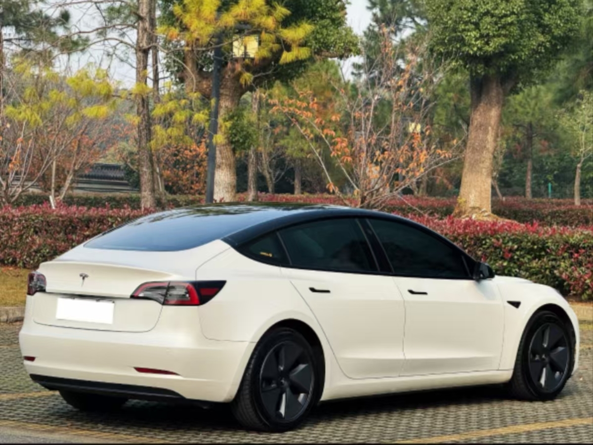 特斯拉 Model 3  2021款 標(biāo)準(zhǔn)續(xù)航后驅(qū)升級版 3D6圖片