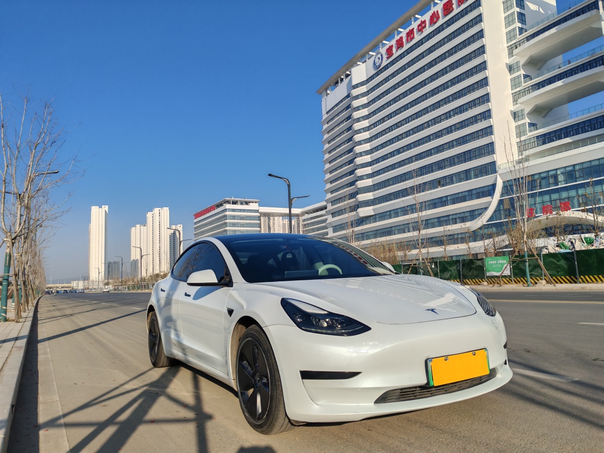 特斯拉 Model 3  2019款 標(biāo)準(zhǔn)續(xù)航后驅(qū)升級版圖片