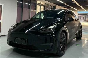 Model S 特斯拉 Performance 高性能版