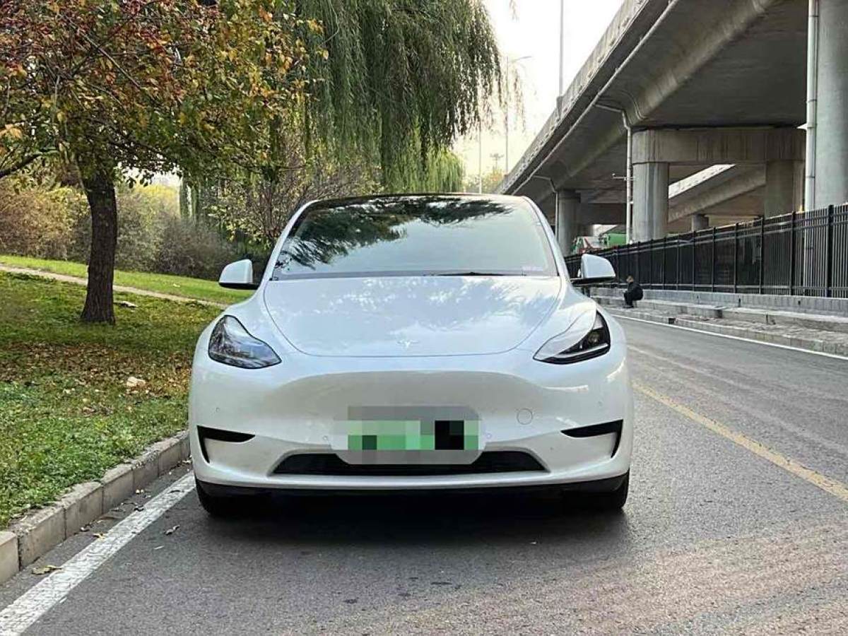 特斯拉 Model Y  2020款 改款 長續(xù)航后輪驅(qū)動版圖片