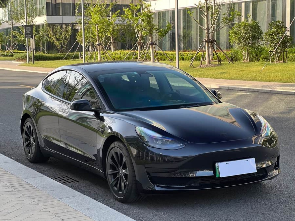 特斯拉 Model 3  2021款 改款 標(biāo)準(zhǔn)續(xù)航后驅(qū)升級(jí)版圖片