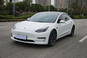 Model 3 特斯拉 Performance高性能全輪驅(qū)動版