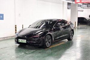 Model 3 特斯拉 标准续航后驱升级版