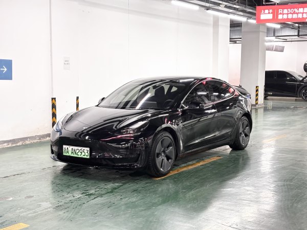 特斯拉 Model 3  2019款 标准续航后驱升级版