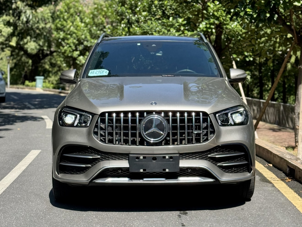 奔馳 奔馳GLE AMG  2020款 AMG GLE 53 4MATIC+圖片