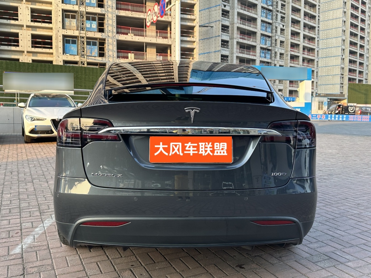 特斯拉 Model X  2017款 Model X 100D 長續(xù)航版圖片