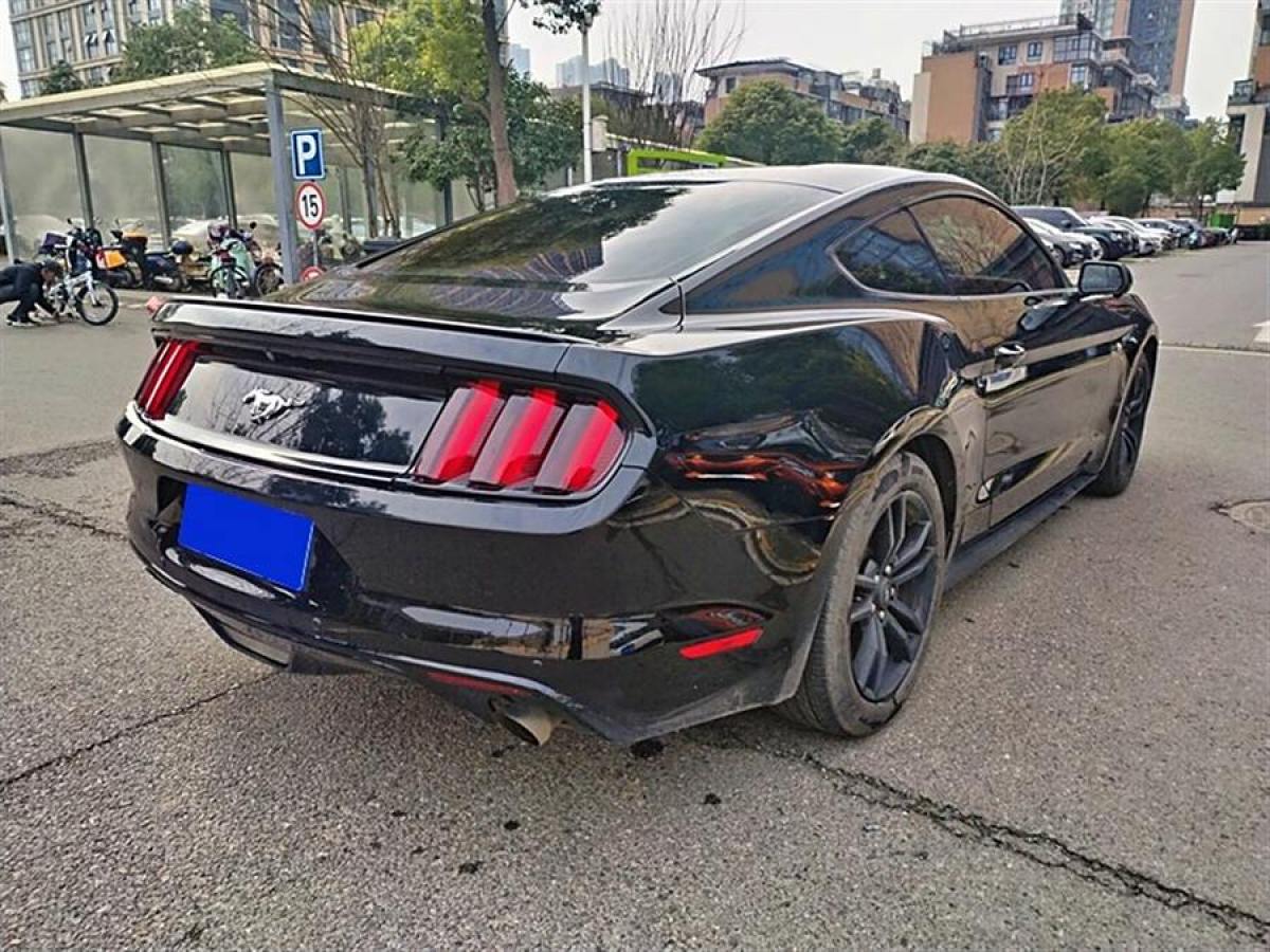 福特 Mustang  2015款 2.3T 性能版圖片