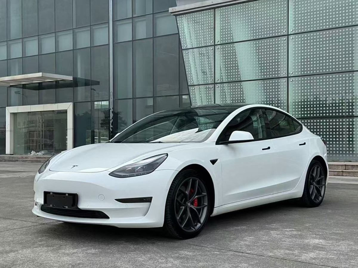 特斯拉 Model 3  2021款 改款 Performance高性能全輪驅(qū)動(dòng)版圖片