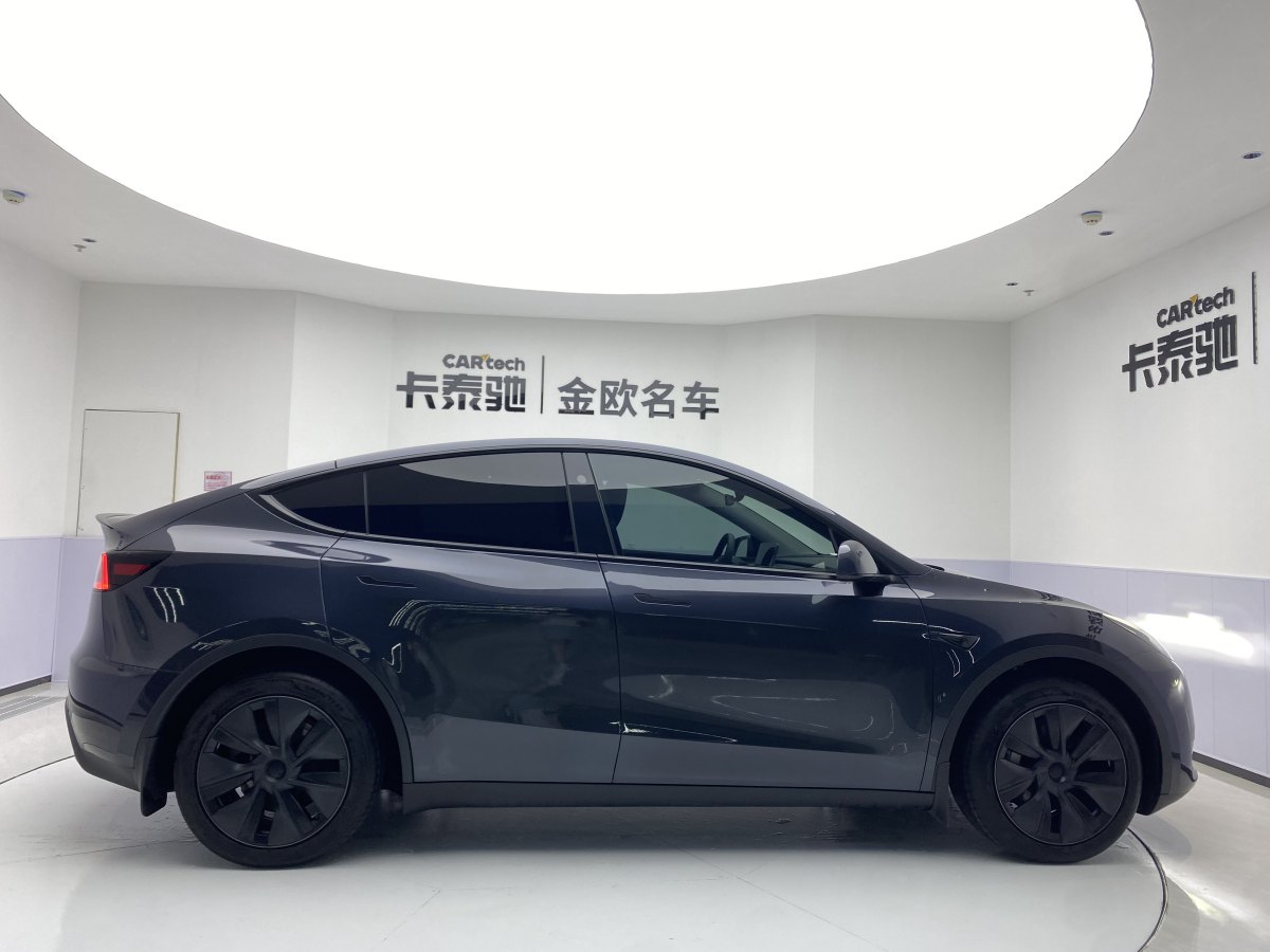 特斯拉 Model Y  2020款 改款 长续航后轮驱动版图片