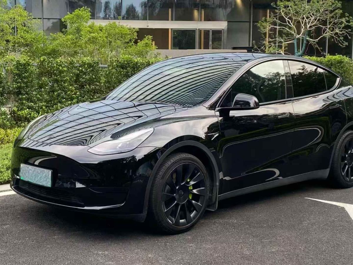 特斯拉 Model Y  2022款 Performance高性能全輪驅(qū)動(dòng)版圖片