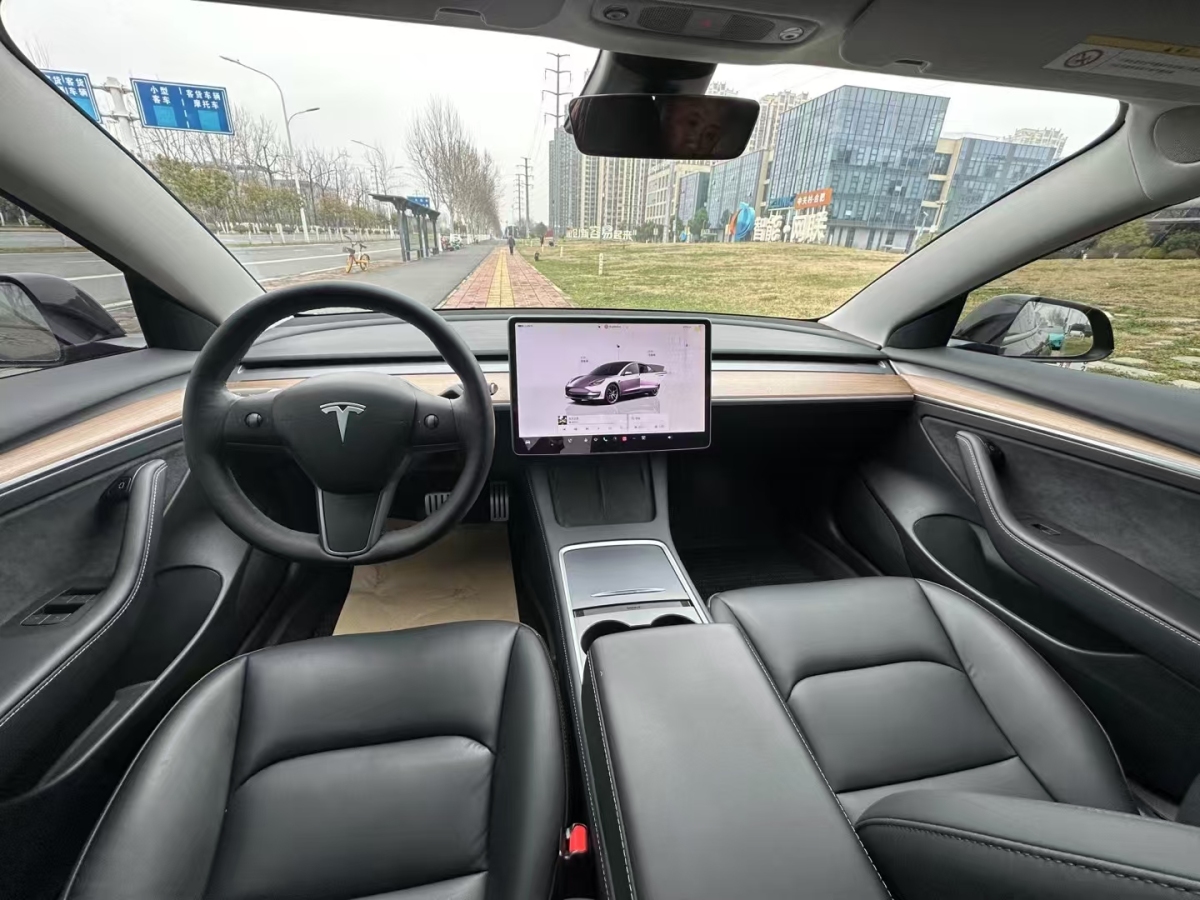 特斯拉 Model 3  2019款 Performance高性能全輪驅(qū)動版圖片