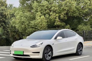 Model 3 特斯拉 标准续航后驱升级版