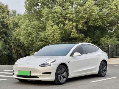 2020年11月 特斯拉 Model 3 標準續(xù)航后驅(qū)升級版圖片