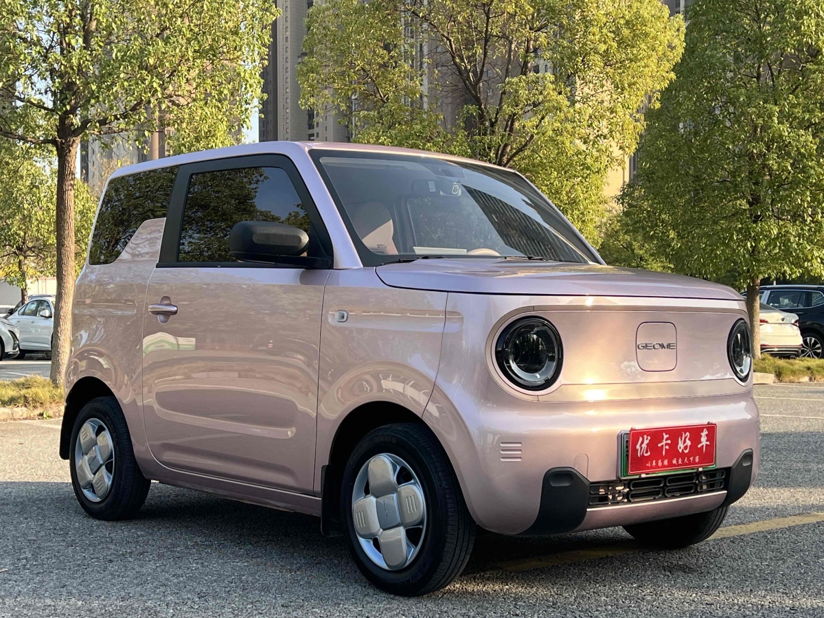 吉利 熊貓mini  2023款 200km 耐力熊圖片