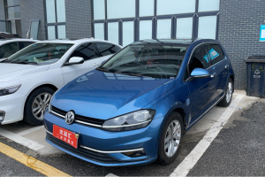 高爾夫 大眾 1.6L 自動(dòng)舒適型