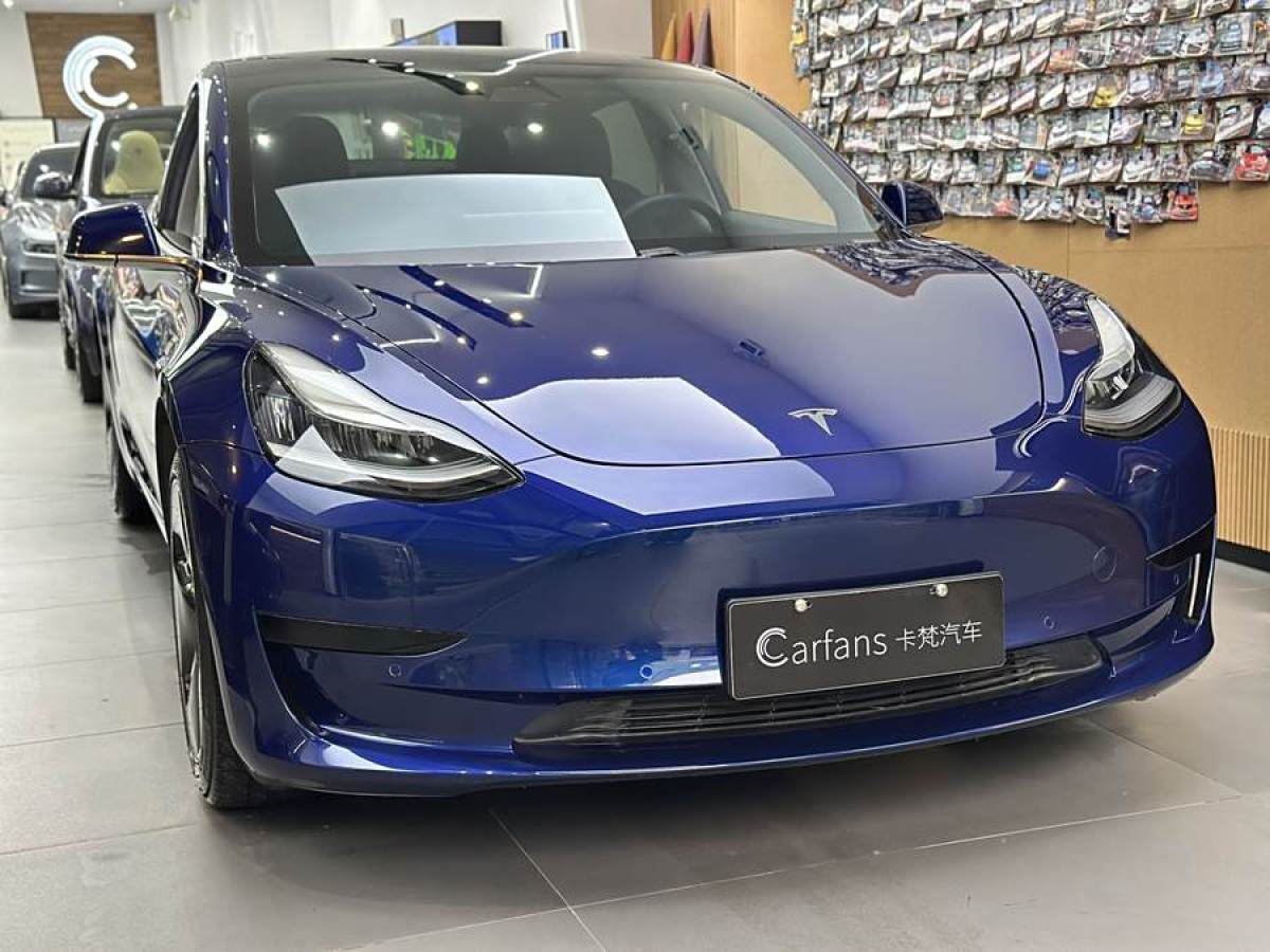 特斯拉 Model 3  2020款 改款 標準續(xù)航后驅升級版圖片