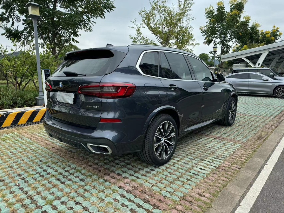 寶馬 寶馬X5  2020款 xDrive30i X設(shè)計(jì)套裝圖片