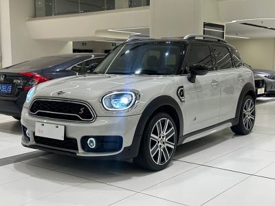 2020年3月 MINI COUNTRYMAN 2.0T COOPER S ALL4 藝術(shù)家圖片