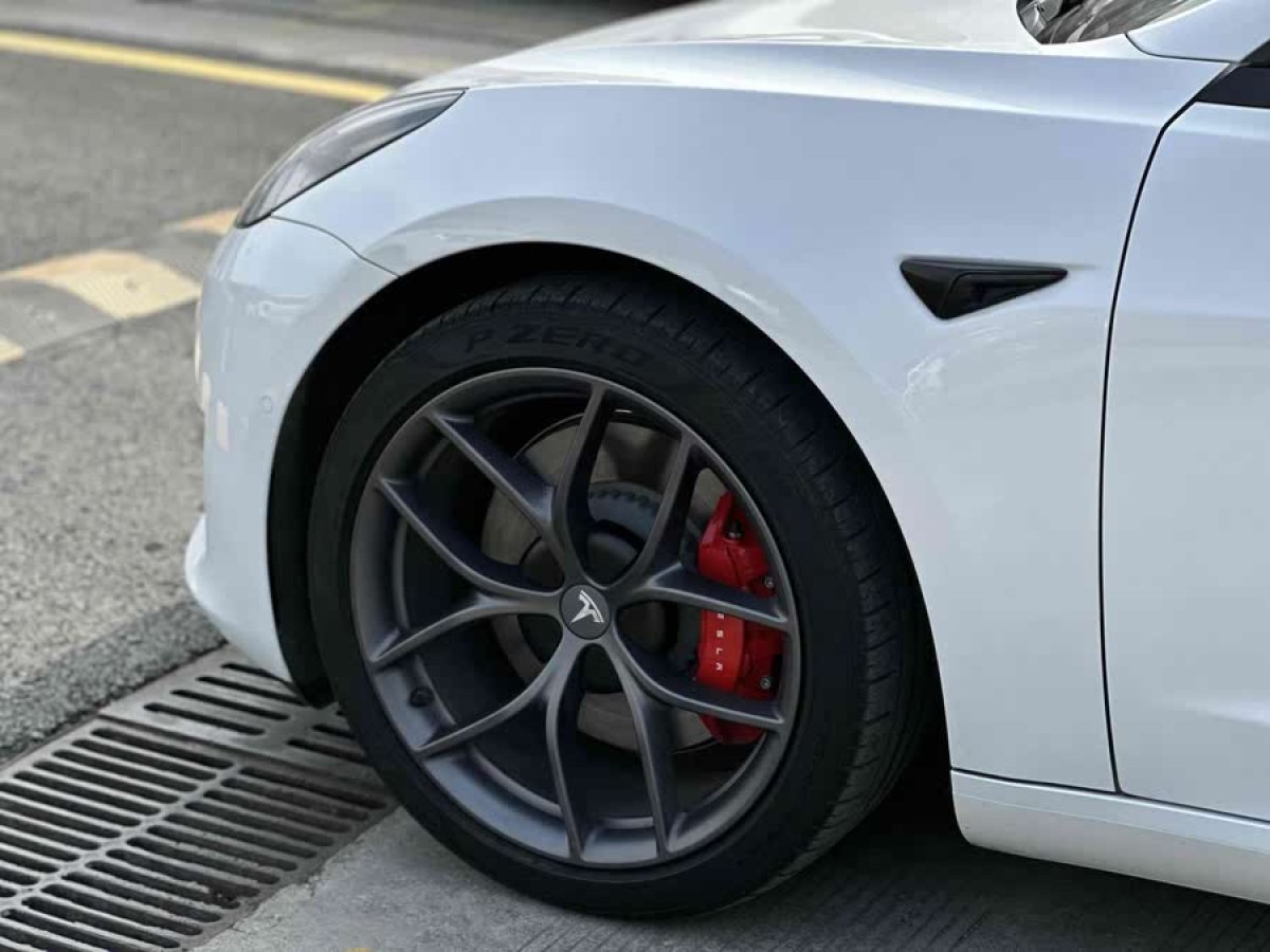 特斯拉 Model 3  2021款 改款 Performance高性能全輪驅(qū)動版圖片