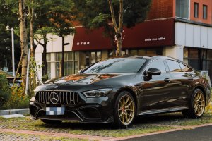 奔驰AMG GT 奔驰 AMG GT 50 四门跑车