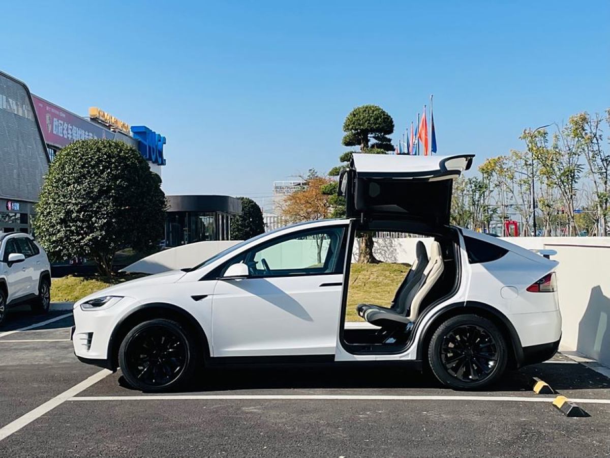 特斯拉 Model X  2019款 長續(xù)航版圖片