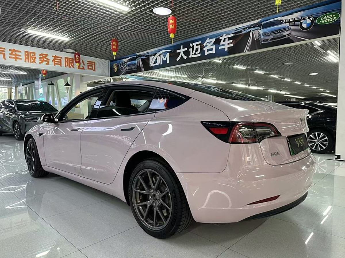 特斯拉 Model 3  2021款 標準續(xù)航后驅升級版 3D6圖片