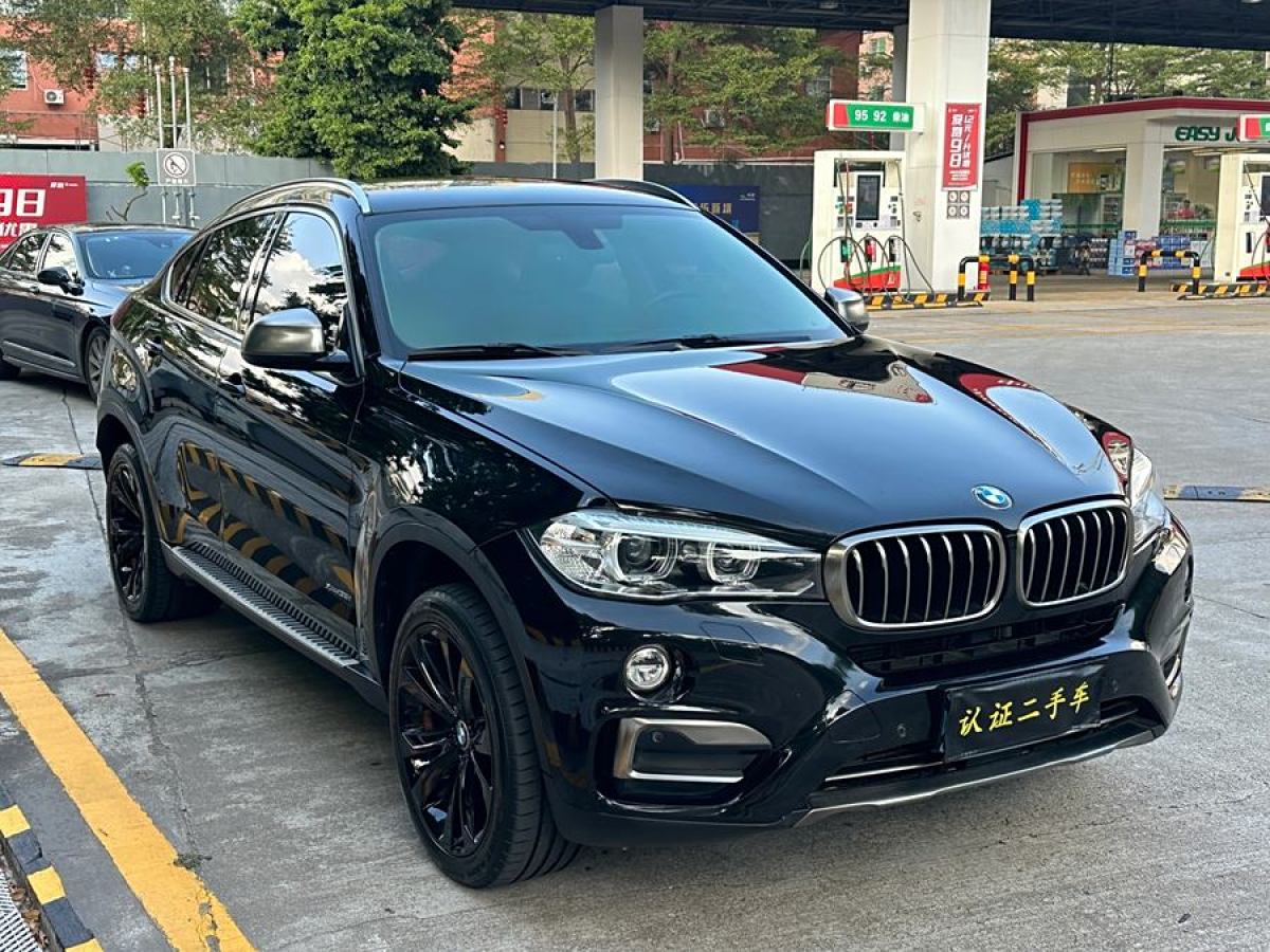 寶馬 寶馬X6  2018款 xDrive35i 領(lǐng)先型圖片