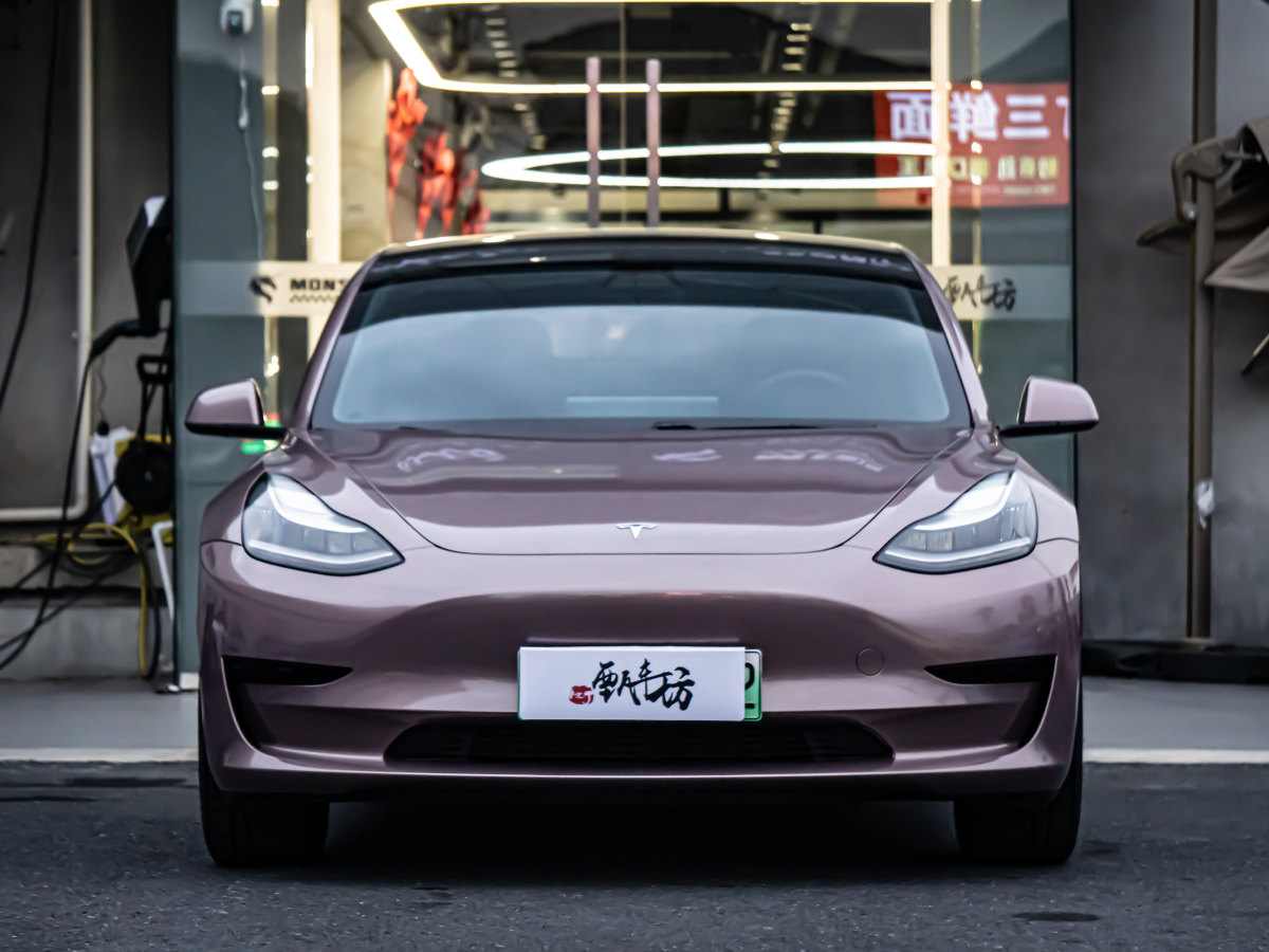 特斯拉 Model 3  2019款 標準續(xù)航后驅(qū)升級版圖片