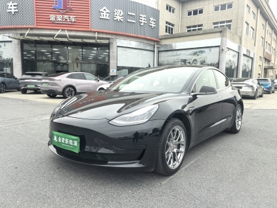 2020年6月 特斯拉 Model 3 標(biāo)準(zhǔn)續(xù)航后驅(qū)升級版圖片