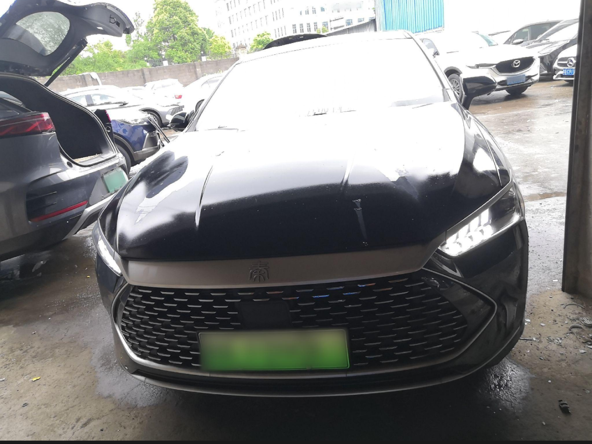 比亞迪 秦PLUS  2024款 榮耀版 DM-i 120KM卓越型圖片
