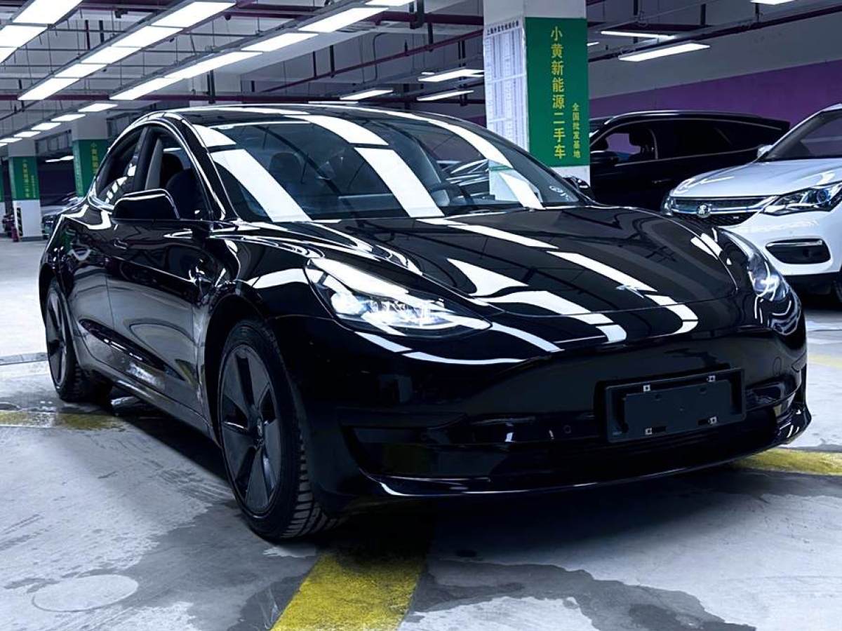 特斯拉 Model Y  2020款 改款 標(biāo)準(zhǔn)續(xù)航后驅(qū)升級版圖片