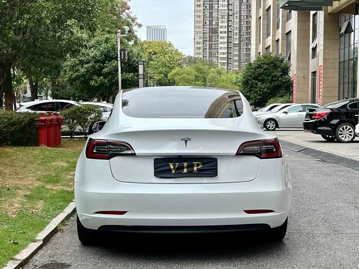 特斯拉 Model 3  2019款 標(biāo)準(zhǔn)續(xù)航后驅(qū)升級(jí)版圖片