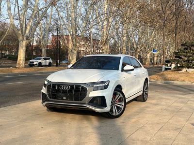 2019年11月 奧迪 奧迪Q8(進(jìn)口) 55 TFSI 至尊限量版圖片