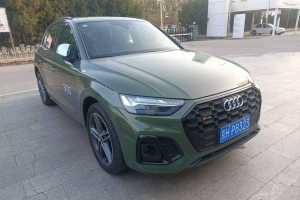 奧迪SQ5 奧迪 SQ5 3.0 TFSI quattro