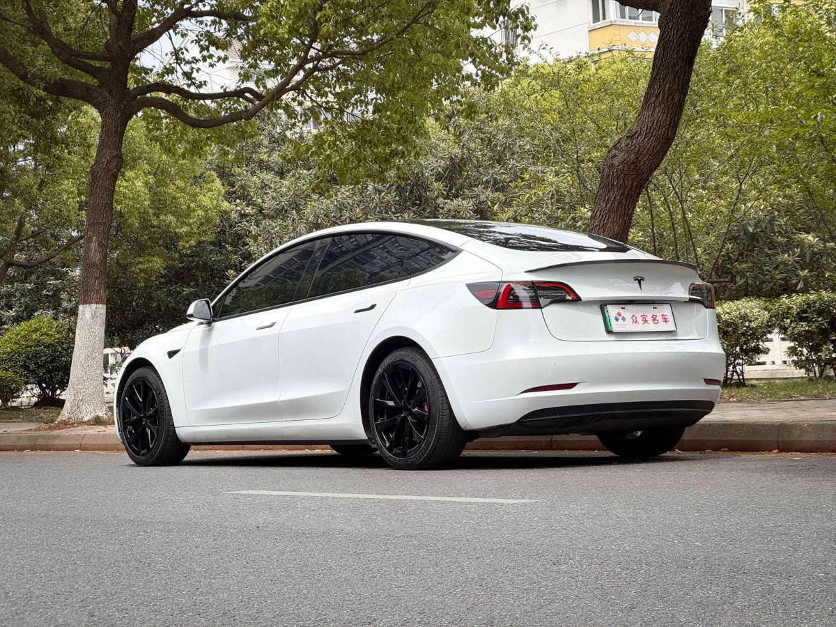 特斯拉 Model 3  2021款 標(biāo)準(zhǔn)續(xù)航后驅(qū)升級(jí)版圖片