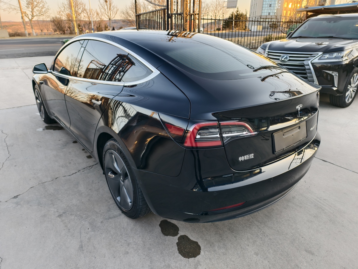 2020年3月特斯拉 Model 3  2020款 改款 標(biāo)準(zhǔn)續(xù)航后驅(qū)升級版