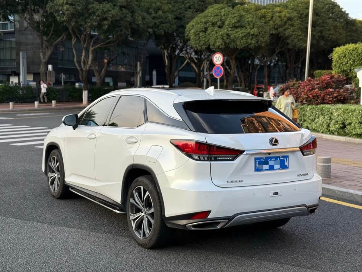 雷克薩斯 RX  2020款 300 四驅(qū)典雅版 國(guó)VI圖片