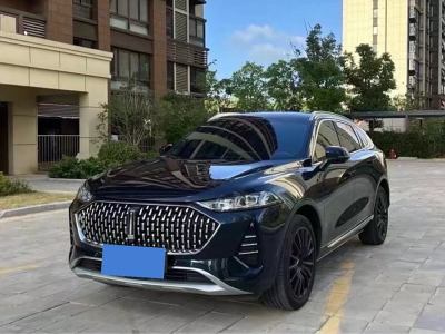 2022年9月 WEY 拿鐵DHT-PHEV 1.5T 兩驅(qū)超大杯圖片