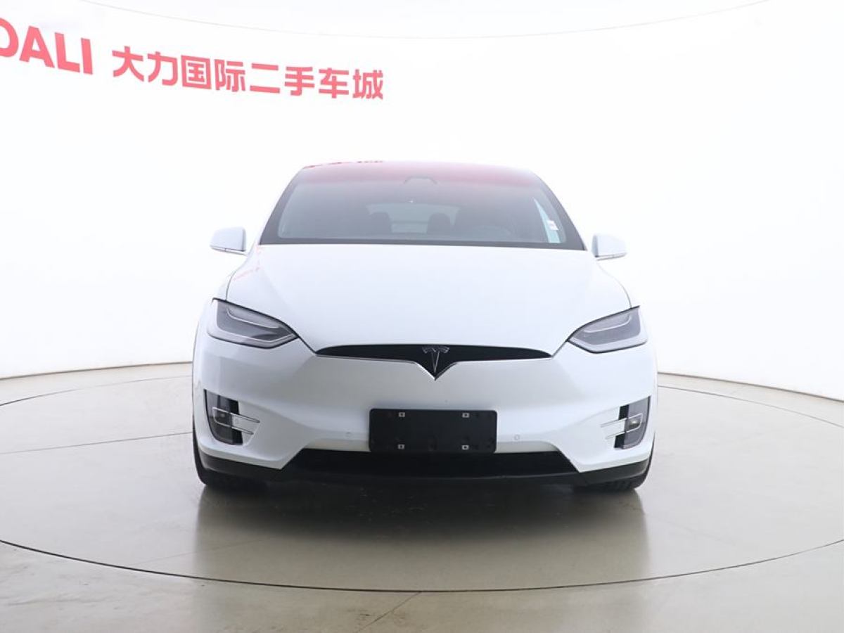 特斯拉 Model X  2017款 Model X 100D 長(zhǎng)續(xù)航版圖片