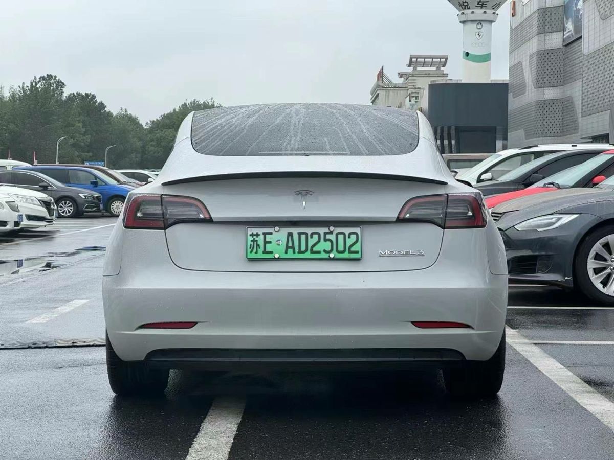 特斯拉 Model S  2021款 Performance 高性能版圖片