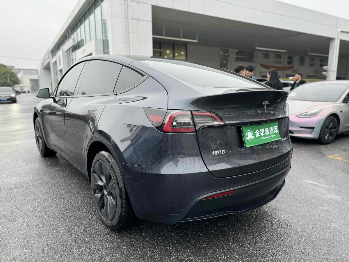 特斯拉 Model Y  2020款 改款 長(zhǎng)續(xù)航后輪驅(qū)動(dòng)版圖片