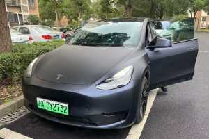 Model 3 特斯拉 后轮驱动版